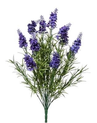Immagine di BUSH LAVANDA x 18 H.CM.50