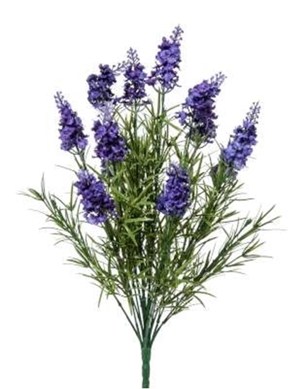 Immagine di BUSH LAVANDA x 18 H.CM.50
