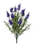 Immagine di BUSH LAVANDA x 18 H.CM.50