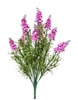 Immagine di BUSH LAVANDA x 18 H.CM.50