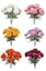 Immagine di BUSH DALIE X 12