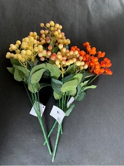 Immagine di BUSH BACCA SELVATICA X 7 CM. 34