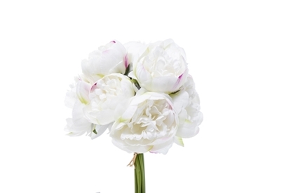 Immagine di BUNDLE PEONIE x 10 CM.32
