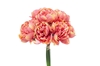 Immagine di BUNDLE PEONIE x 10 CM.32