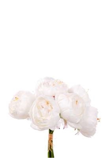 Immagine di BUNDLE 7 PEONIE CM.33