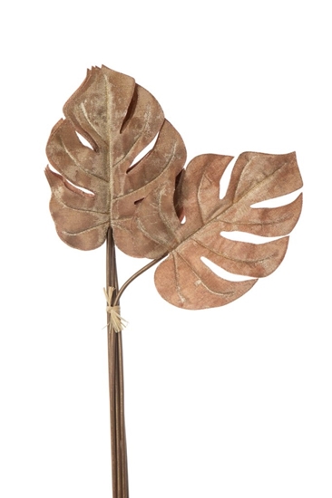 Picture of BUNCH 6 FOGLIE PHILO GLAMOUR