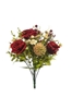 Immagine di BUSH ROSE ALLIUM x 18 CM.45