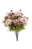 Immagine di BUSH ROSE ALLIUM x 18 CM.45