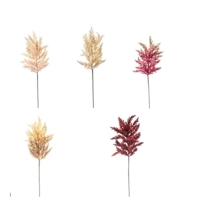 Immagine di ASTILBE CM.65