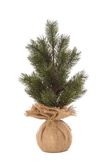 Immagine di ALBERELLO CM.29