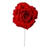 Immagine di PICK TESTA ROSA
