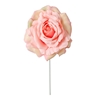 Immagine di PICK TESTA ROSA