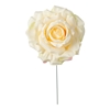 Immagine di PICK TESTA ROSA