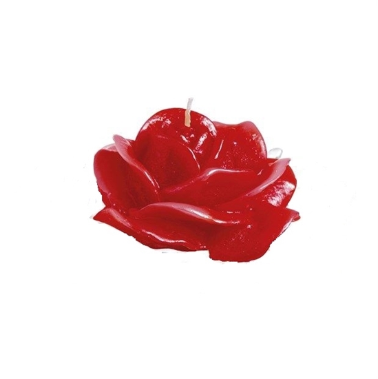 Immagine di ROSA CANDIDA ROSSA LACCATA H. 65 D. 150 MM