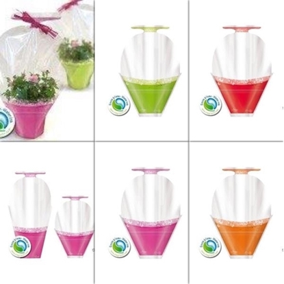 Immagine di CONO LOLLIPOP H. 60X31X14 CF. DA 50 PZ.