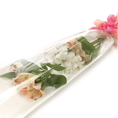 Picture of STEZZONI PERLATO+TRASP . CM.16X80 CF.100 PZ.