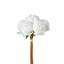 Picture of BOUQUET PEONIA X 6 F. H. CM 38