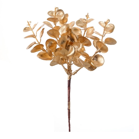 Immagine di PICK EUCALYPTO CM.20