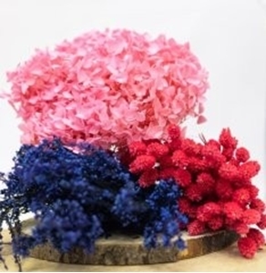Immagine per la categoria Fiori stabilizzati                                          