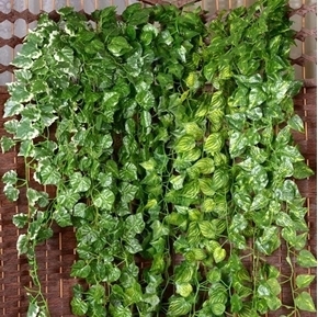 Picture for category Verdi Artificiali                                           