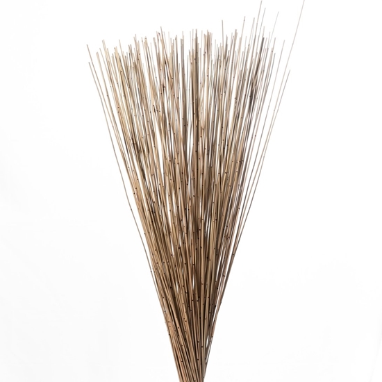 Immagine di REED BUENDEL 80 CM NATURALE SACCHETTO X 1 KG