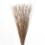 Picture of REED BUENDEL 80 CM NATURALE SACCHETTO X 1 KG
