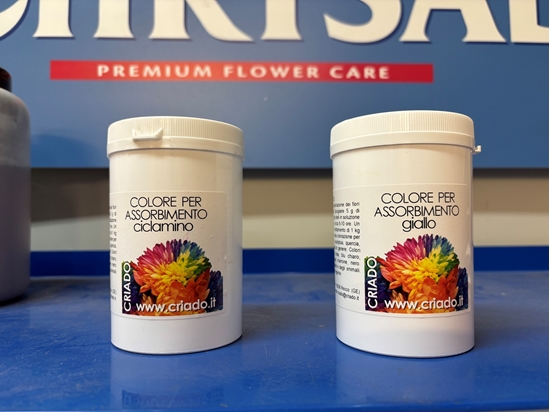 Immagine di COLORANTE PER ASSORBIMENTO DI FIORI  CF.100 GR.