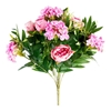 Picture of BUSH ROSE/PEONIE x 12