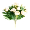 Picture of BUSH ROSE/PEONIE x 12