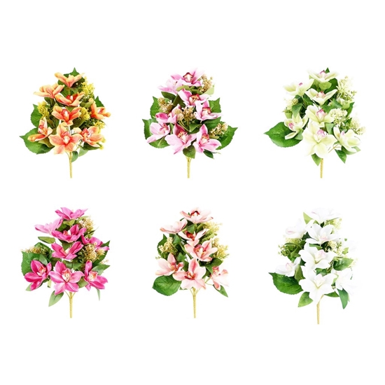 Immagine di FRONTALE CIMBIDIUM x 12