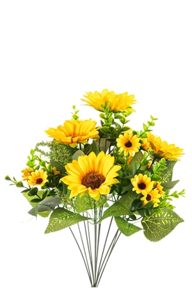 Immagine di BUSH GIRASOLI x 12 CM.45