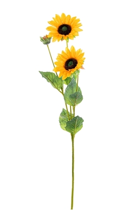 Immagine di GIRASOLINO x 3 FLOCCATO CM.65