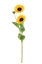 Immagine di GIRASOLINO x 3 FLOCCATO CM.65