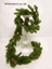 Immagine di PINE GARLAND w/CONE 180cm