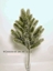 Immagine di PINE SPRAY x28 w/SNOW 68cm