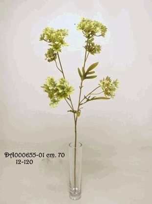 Immagine di VERBENA SPRAY 70cm