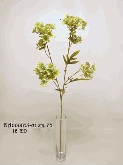 Immagine di VERBENA SPRAY 70cm