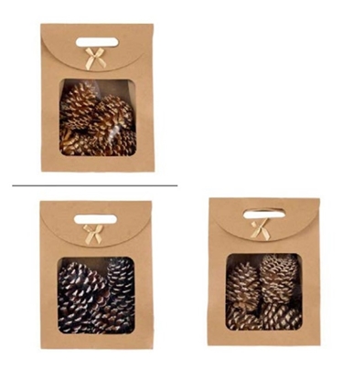 Picture of BAG PIGNE CM.10/12