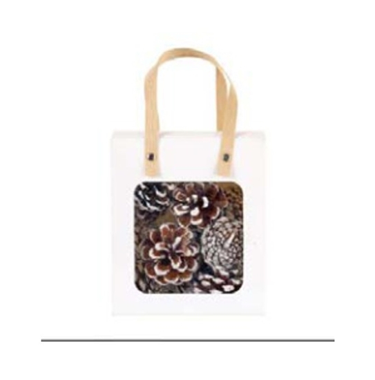 Picture of BAG PIGNE