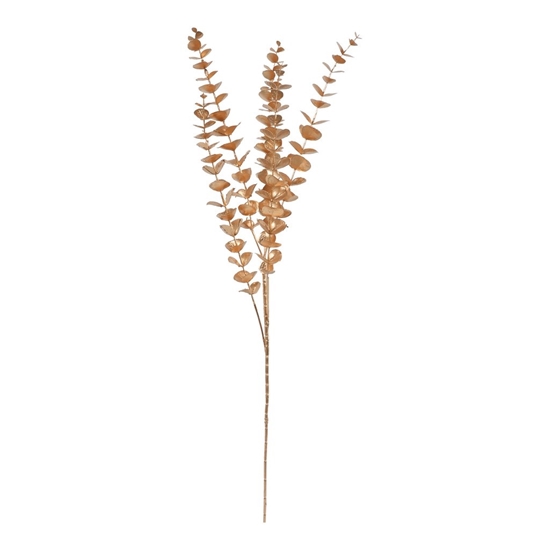 Immagine di RAMO EUCALYPTO x 5 CM.85