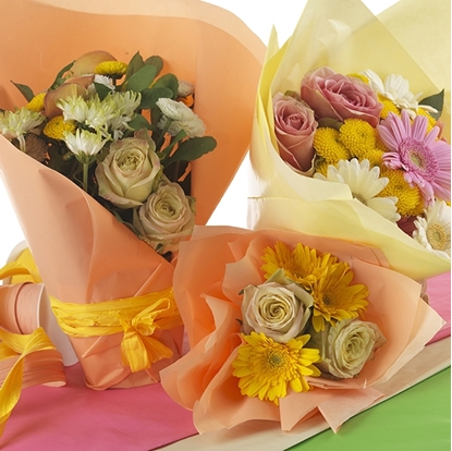 Immagine di BOBINA CARTA PERGAMINO STAMP.  40 MY H 80 CM. X 40 MT.