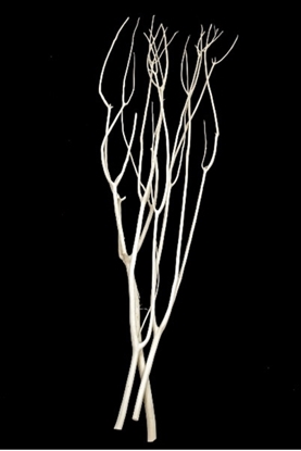 Picture of MITSUMATA CM. 110 CF DA 3 ST D.3.5