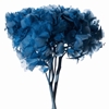 Immagine di HYDRANGEA SACCHETTO X 1 MZ
