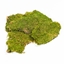 Immagine di INDIAN MOSS V MELA 14 SCF X 300 GR