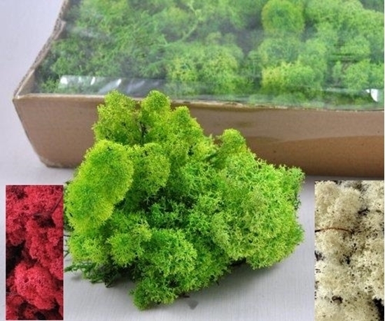 Immagine di MUSCHIO NORDICO BLISTER DA 400 GR. COLOR.