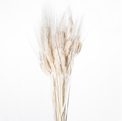 Immagine di GRANO BAFFO BIANCO BIANCO 01 SACCHETTO X 200gr