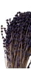 Immagine di LAVANDER PRES NATURALE SACC. X 150 GR STABILIZZATA