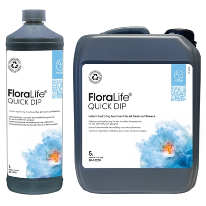 Immagine di OASIS FLORALIFE - QUICK DIP - BOTTIGLIA 1 LT.