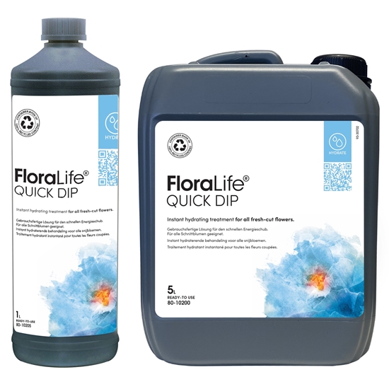 Picture of OASIS FLORALIFE - QUICK DIP - BOTTIGLIA 1 LT.