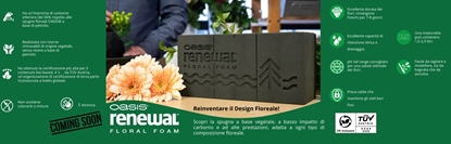 Immagine di OASIS SPUGNA FLOREALE RENEWAL CF. 12 PZ.